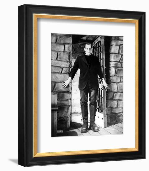 Frankenstein-null-Framed Photo