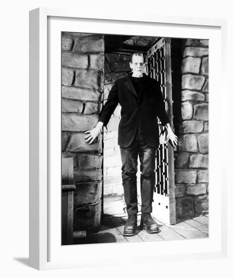 Frankenstein-null-Framed Photo