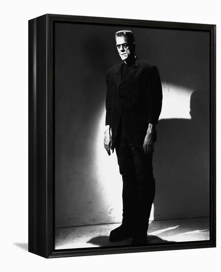 Frankenstein-null-Framed Stretched Canvas