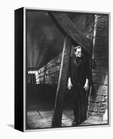 Frankenstein-null-Framed Stretched Canvas