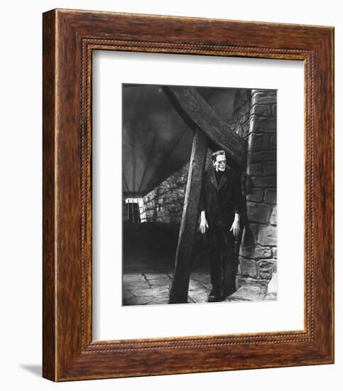 Frankenstein-null-Framed Photo