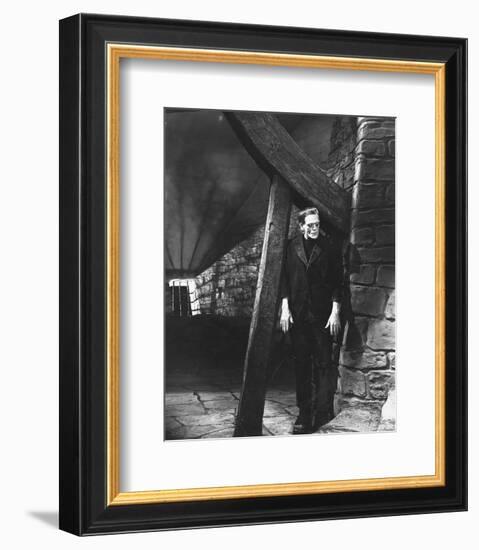 Frankenstein-null-Framed Photo