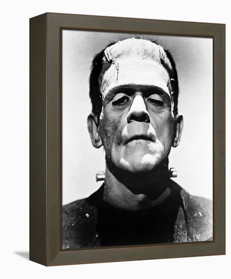 Frankenstein-null-Framed Stretched Canvas