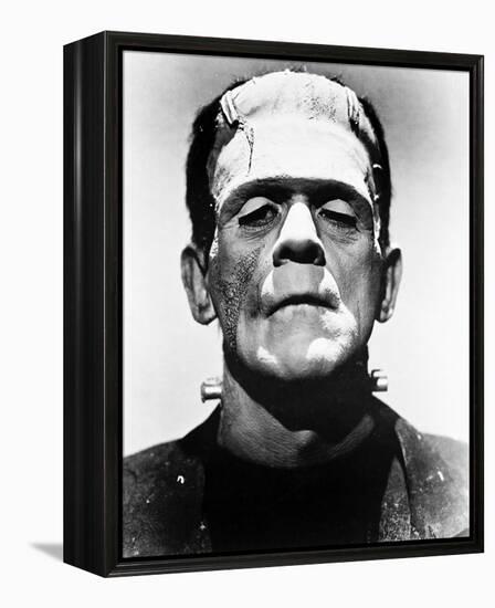 Frankenstein-null-Framed Stretched Canvas