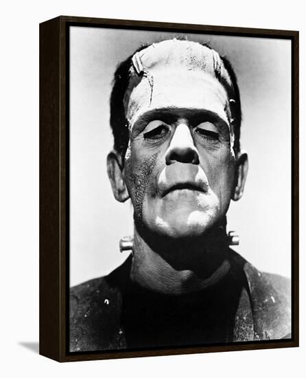 Frankenstein-null-Framed Stretched Canvas