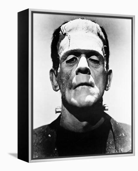 Frankenstein-null-Framed Stretched Canvas