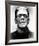 Frankenstein-null-Framed Photo