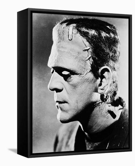 Frankenstein-null-Framed Stretched Canvas