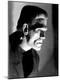 Premium Photographic Print
