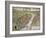 Frankfurt Old Map, From Civitates Orbis Terrarum-marzolino-Framed Art Print