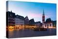Stretched Canvas Print