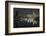 Frankfurt on the Main, Hesse, Germany, Europe, Skyline with the Flš§erbrŸcke-Bernd Wittelsbach-Framed Photographic Print