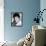 Frankie Avalon-null-Framed Stretched Canvas displayed on a wall