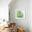 Frankie The Frog-Jessie Eckel-Framed Giclee Print displayed on a wall