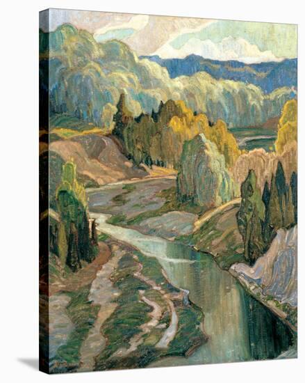 Stretched Canvas Print, , large