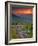 Franklin Cliff Overlook, Virginia, USA-Cathy & Gordon Illg-Framed Photographic Print