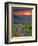 Franklin Cliff Overlook, Virginia, USA-Cathy & Gordon Illg-Framed Photographic Print