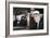 Franklin D Roosevelt and Winston Churchill Meeting in Quebec, Canada, 1944-null-Framed Photographic Print