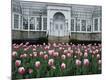 Premium Photographic Print