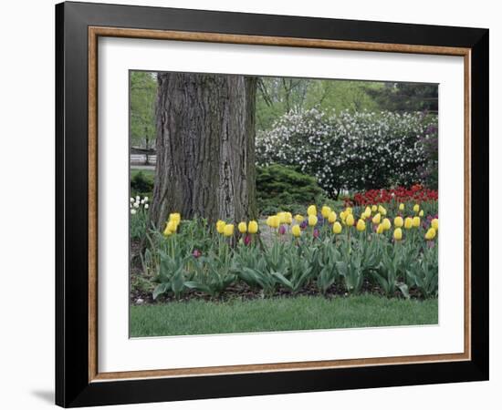 Franklin Park, Columbus, Ohio, USA-null-Framed Photographic Print