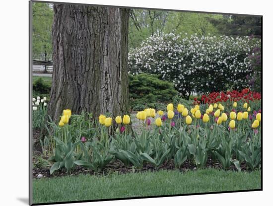 Franklin Park, Columbus, Ohio, USA-null-Mounted Photographic Print