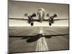 Photographic Print
