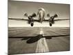 Photographic Print
