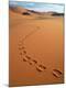 Premium Photographic Print