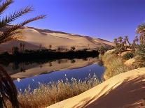 Sand dunes (Timimoun, Grand Erg, Gourara Valley, Sahara Desert, Algeria)-Frans Lemmens-Photographic Print