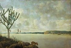 Brasilian Landscape with Anteater. Probably 1649-Frans Post-Giclee Print
