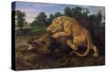 Stretched Canvas Print