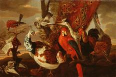 Various Birds-Frans Snyders Or Snijders-Framed Giclee Print