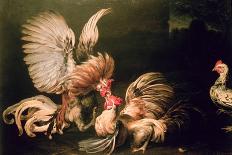 Various Birds-Frans Snyders Or Snijders-Framed Giclee Print