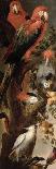 Various Birds-Frans Snyders Or Snijders-Giclee Print