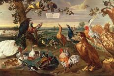 Fighting Cocks-Frans Snyders Or Snijders-Giclee Print
