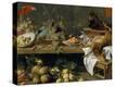 Stretched Canvas Print