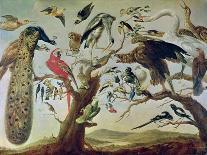 The Bird's Concert-Frans Snyders-Giclee Print