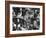 Frantic Day at the New York Stock Exchange During the Market Crash-Yale Joel-Framed Photographic Print