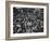 Frantic Day at the New York Stock Exchange During the Market Crash-Yale Joel-Framed Photographic Print