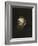 Franz Lenbach, self portrait-Franz Seraph von Lenbach-Framed Giclee Print