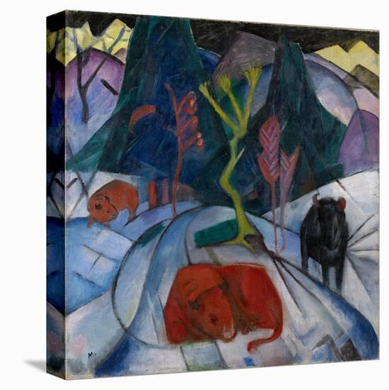Stretched Canvas Print, , large