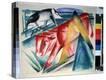 Stretched Canvas Print