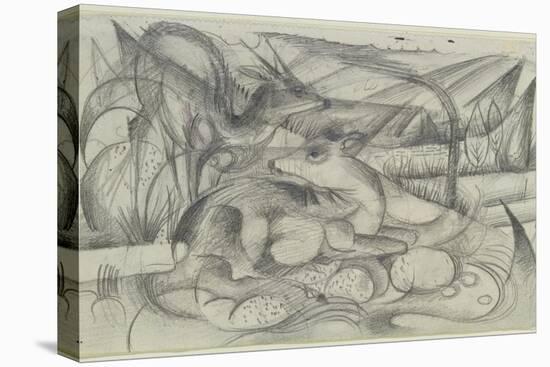 Stretched Canvas Print, , large