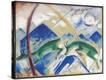 Stretched Canvas Print