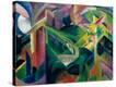 Stretched Canvas Print