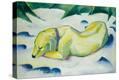 Stretched Canvas Print