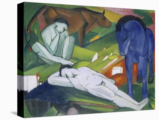 Stretched Canvas Print, , large