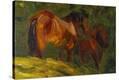 Stretched Canvas Print