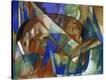 Stretched Canvas Print