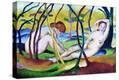 Stretched Canvas Print